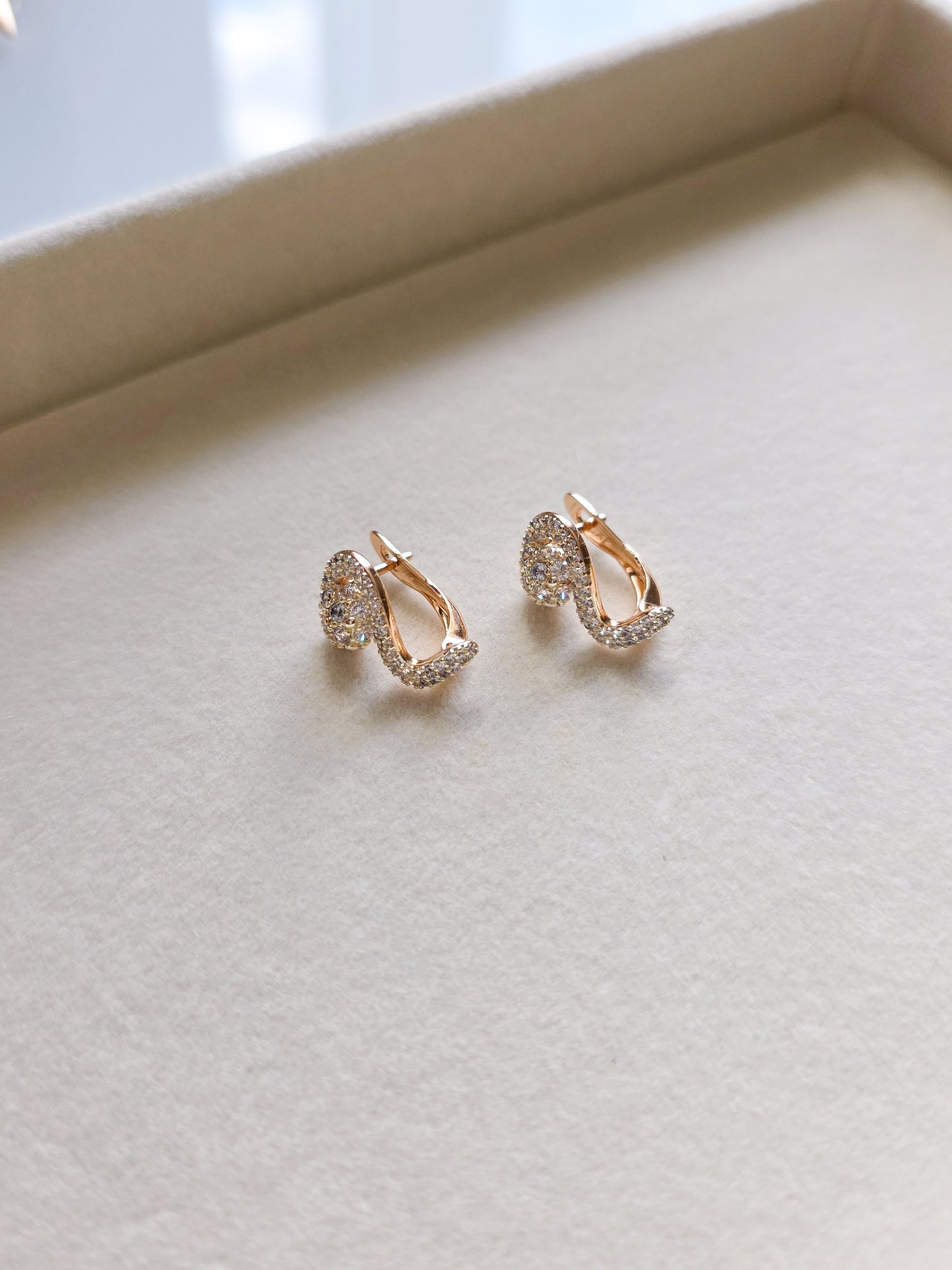 S earrings