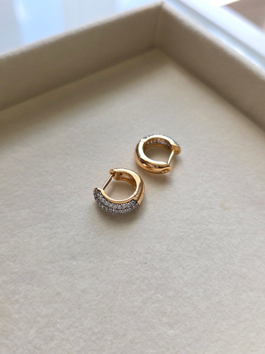 Chrystal earrings